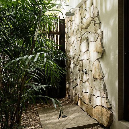 Hotel Jungle Lodge Tikal Rum bild