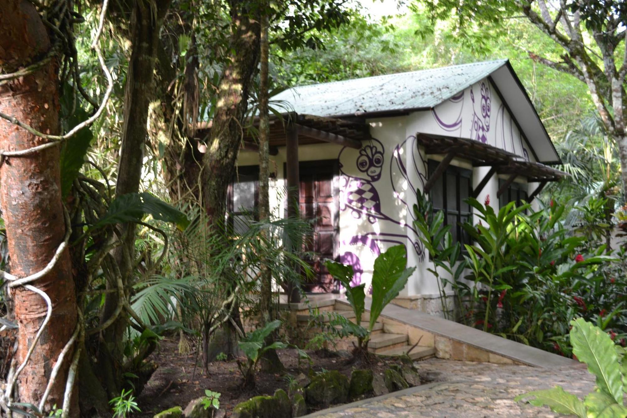 Hotel Jungle Lodge Tikal Rum bild