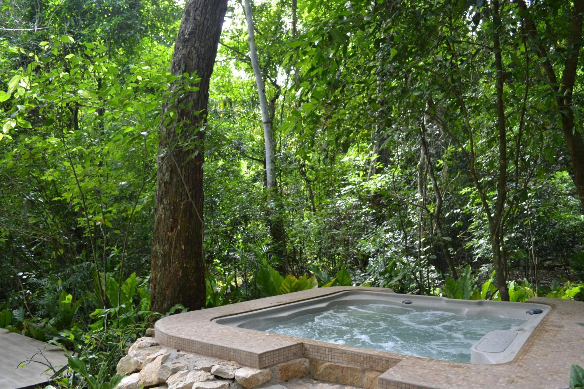 Hotel Jungle Lodge Tikal Rum bild