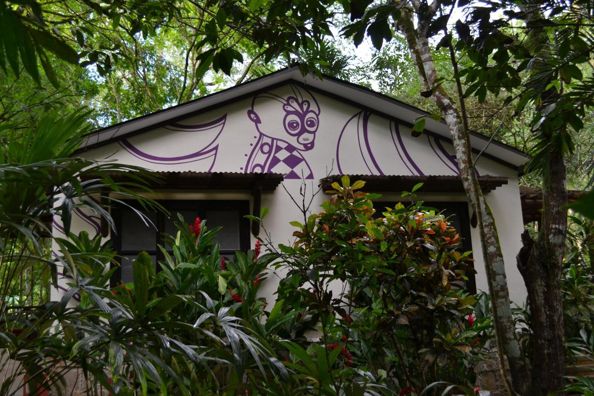 Hotel Jungle Lodge Tikal Rum bild