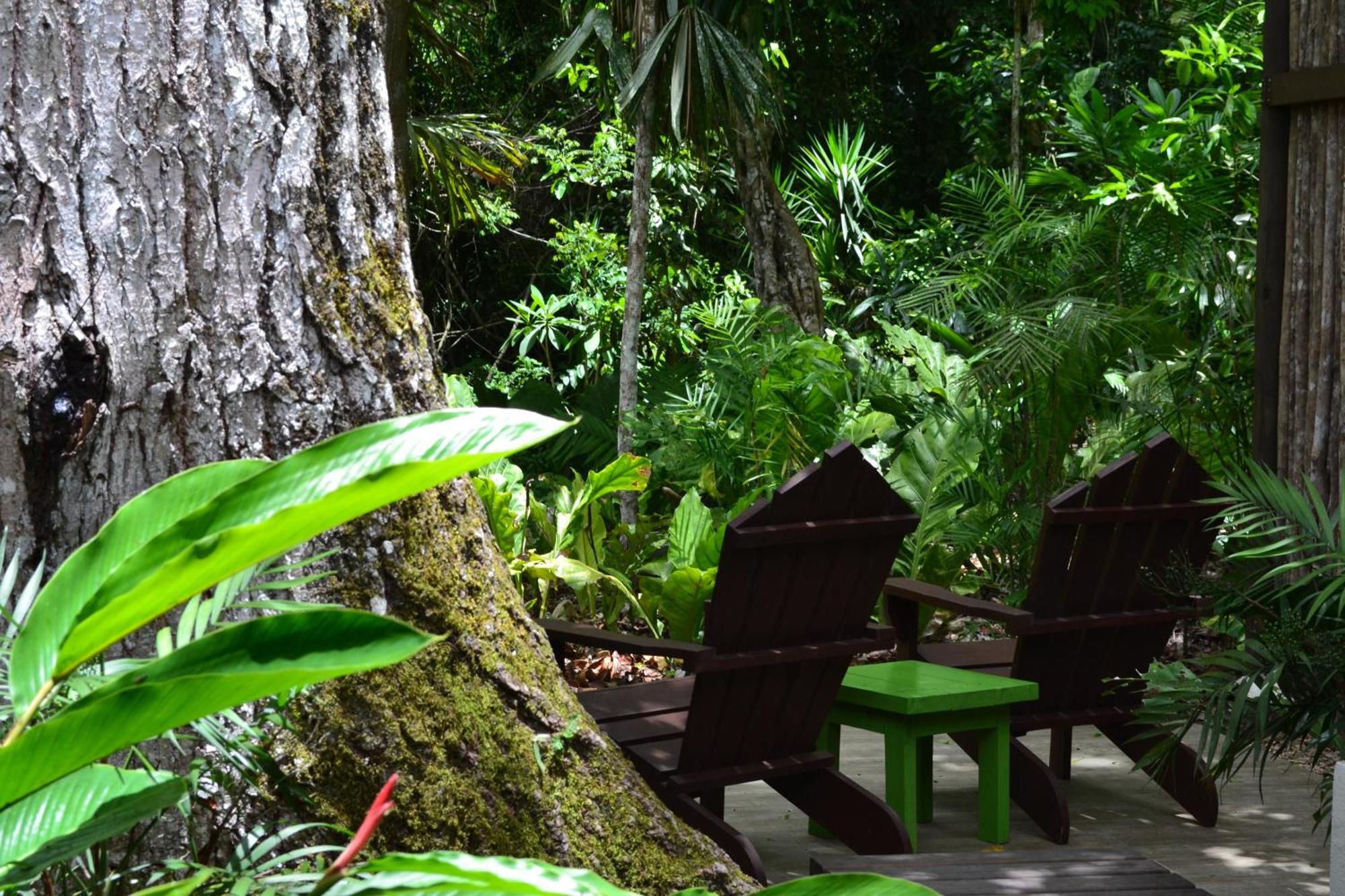 Hotel Jungle Lodge Tikal Rum bild