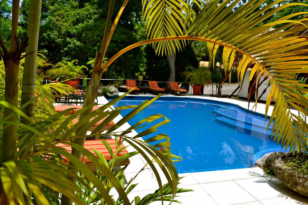 Hotel Jungle Lodge Tikal Exteriör bild