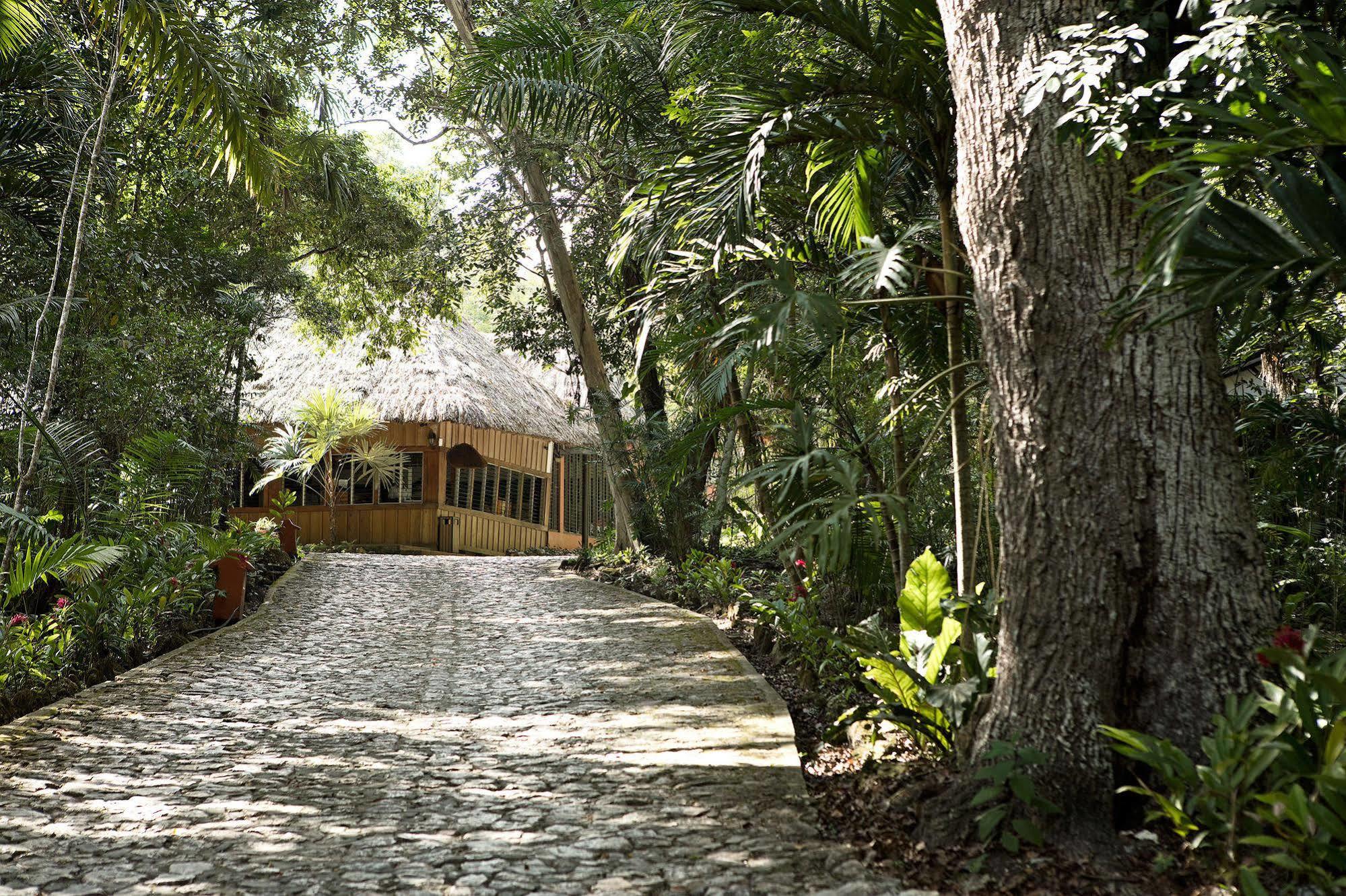 Hotel Jungle Lodge Tikal Exteriör bild
